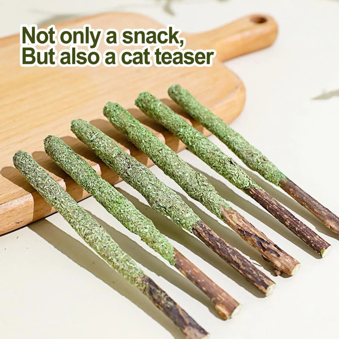 Natural Cat Stick Cat Teeth Cleaning Mint Caught Bite Hairball Removal Cat Chew Stick Catnip Toys Sticks Indoor Kitten - 3