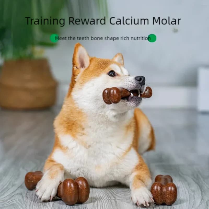 لعبة عض على شكل عظمة للكلاب طبيعية غير سامة تقريبًا غير قابلة للتدمير لعبة عض لمقاومة العض للجراء للكلاب الصغيرة والمتوسطة والكبيرة - 2