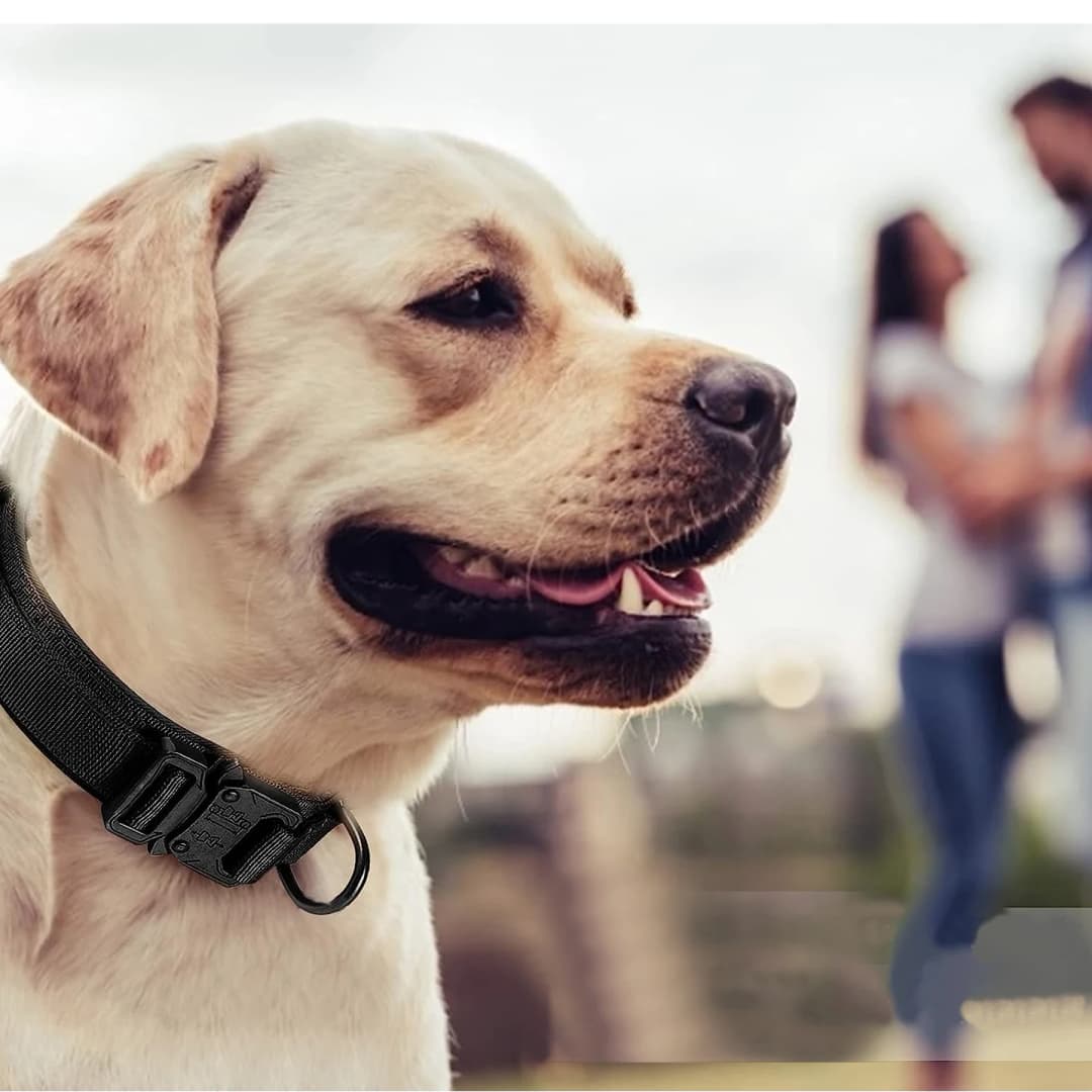 Tactical Dog Collar Adjustable Military Training Nylon Dog Necklace with Control Handle Heavy Metal Buckle for Medium Large Dog - 5