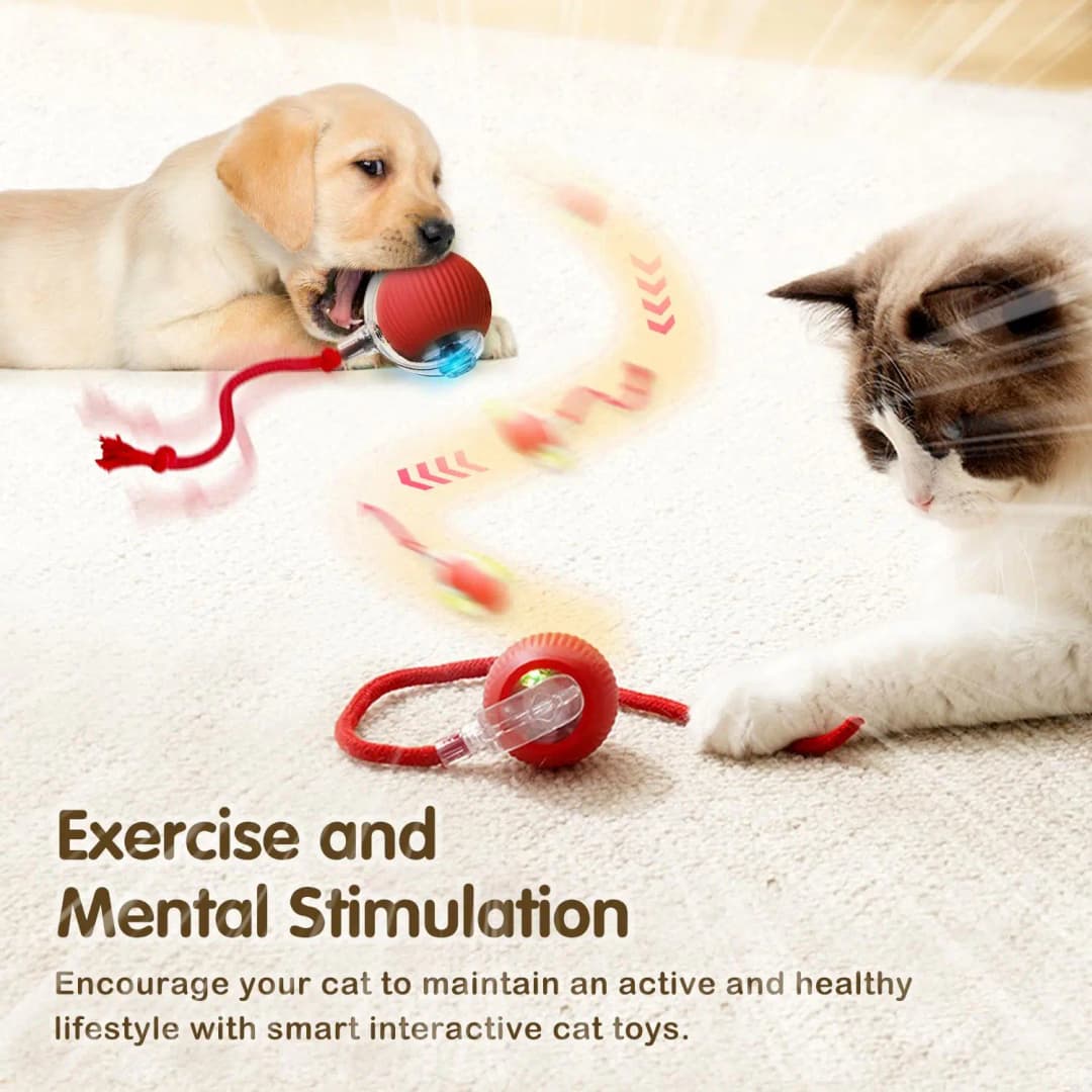 This interactive spherical toy for cats features an automatically rotating tail ball design and isarechargeable electric pet toy - 4