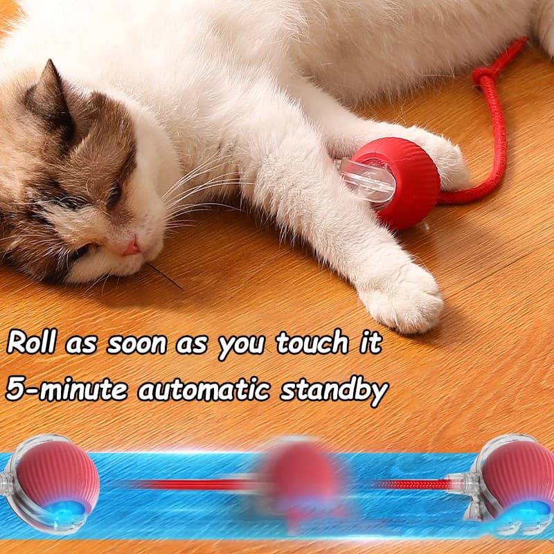 2Pcs Cat Interactive Ball Toys Automatic Rolling Ball Faux Tail Rechargeable Smart Pet Electric Toy Cat Training Imitate Mouse - 4