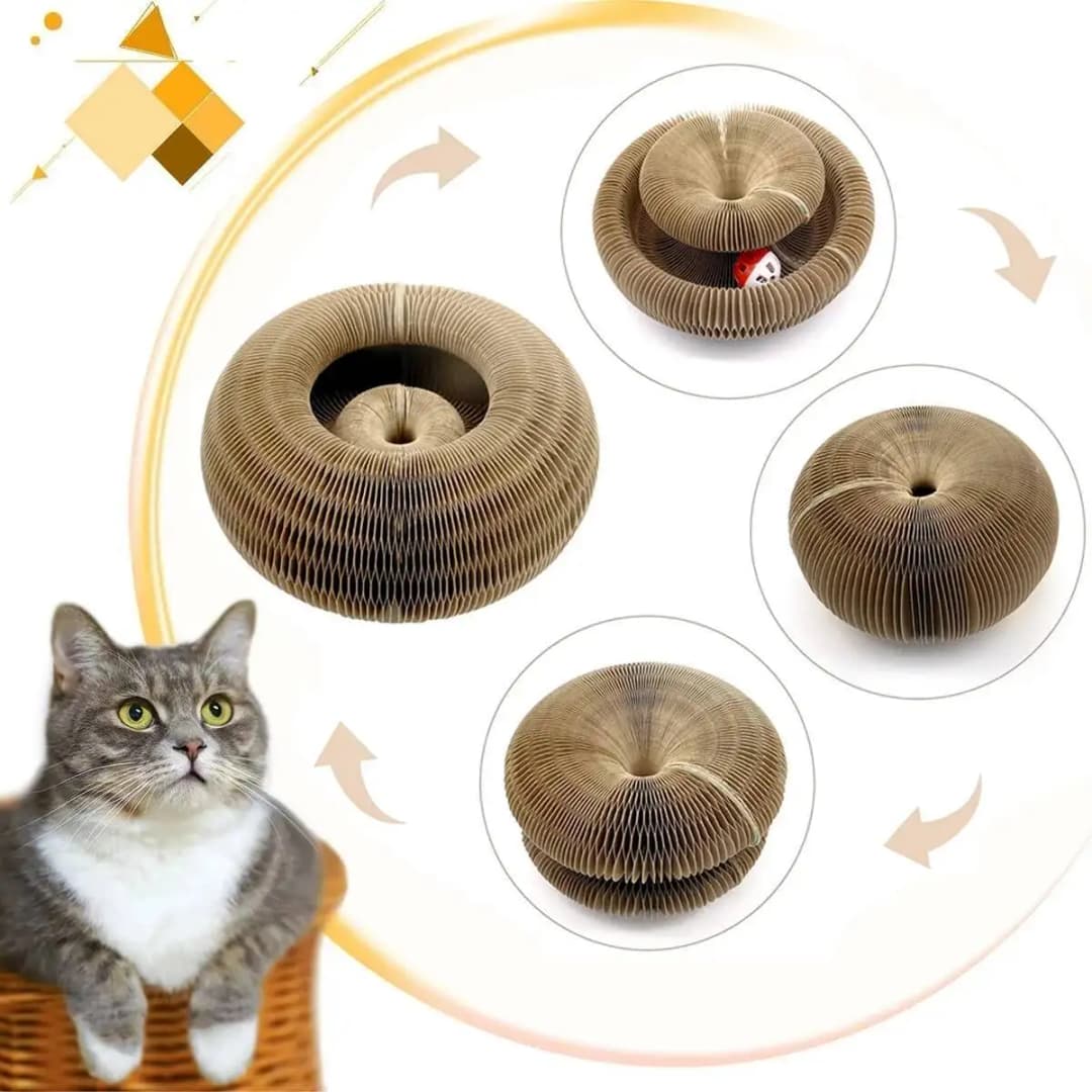 Magic Organ Cat Toy Cats Scratcher Scratch Board Round Corrugated Scratching Post Toys for Cats Grinding Claw Cat Accessories - 3