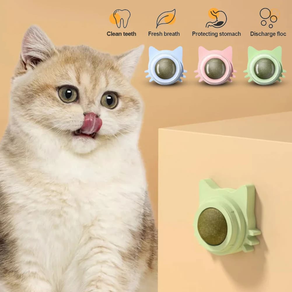 علكة قطط بنكهة النعناع، مستلزمات قطط صحية، مصاصة ملصقة على الحائط، كرة طاقة للقطط الصغيرة، حلوى ومقرمشات للحيوانات الأليفة - 6