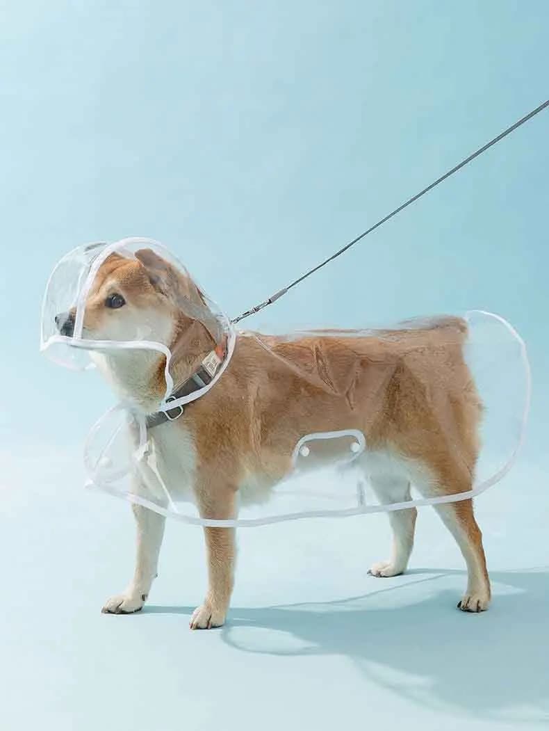 Dogs going out, transparent waterproof raincoat with hat pet raincoat - 6