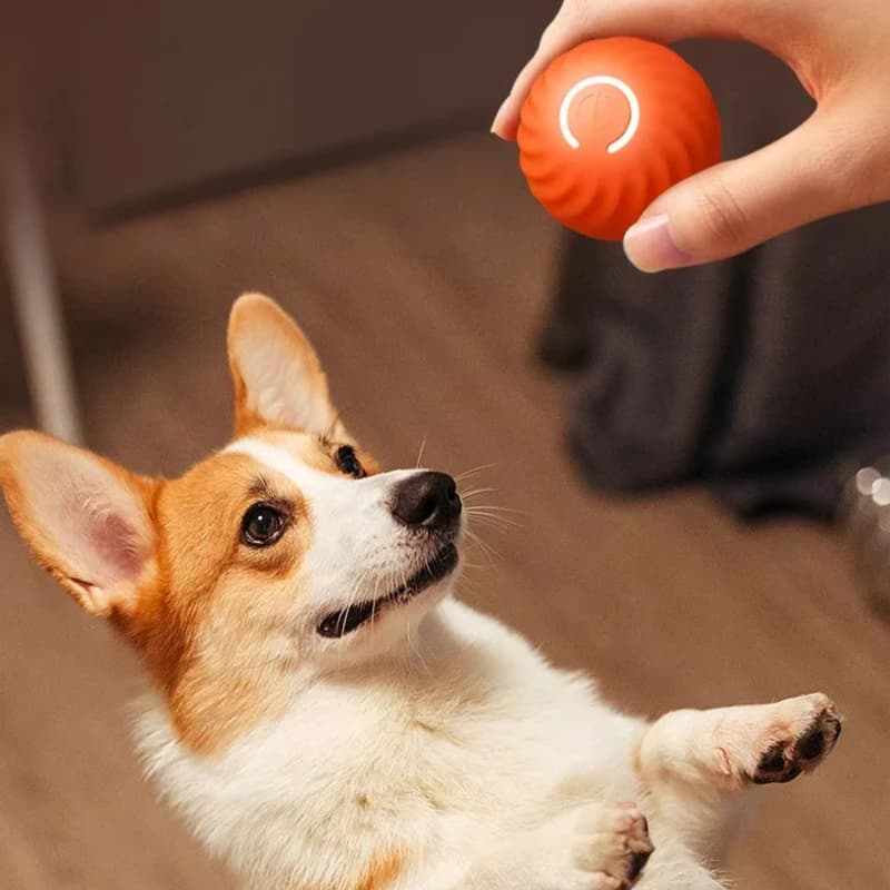Smart Electric Ball Toy Gravity Jump Balls Dog Plaything USB Charging Automatic Teasing Dogs Artifact Intelligent Pet Cat Toys - 4