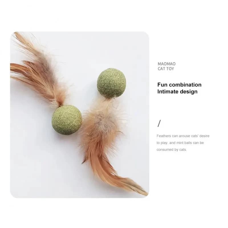 Pet Catnip Toys Edible Catnip Ball Safety Healthy Cat Mint Cats Home Chasing Game Toy Products Clean Teeth Cat Mint Ball - 3