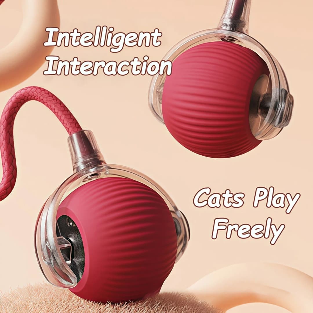 New Cat Interactive Ball Toy Automatic Rolling Ball Faux Tail Rechargeable Smart Pet Electric Toy Dog Cat Training Imitate Mouse - 2
