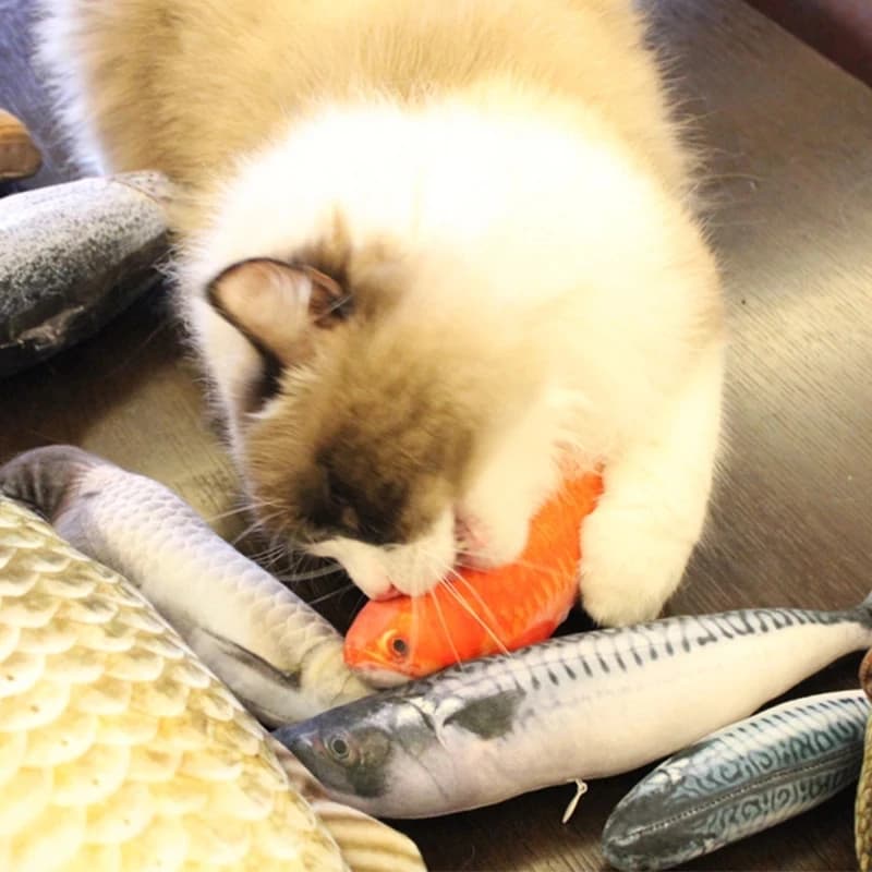 Pet Plush Cat Catnip Toy Teeth Teasing Cat Toy Simulated Fish Cat Fish Throw Pillow - 2