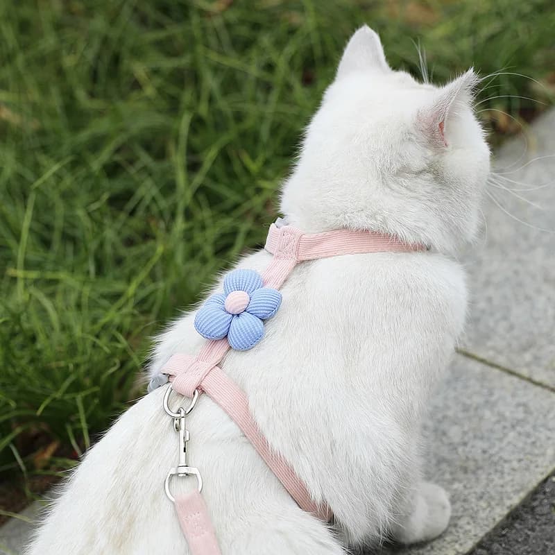Cat Harness and Leash Sets Adjustable Dog Harness for Small Dog Leash Breashable Pet Harness Out Walking Dog Strap Cat Accessory - 2