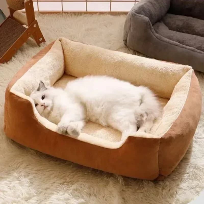 Bed for Cats Pet Products Cushions Kitten Goods Accessories Dog All Home Supplies Things Accessory Habitats Basket House Beds - 2