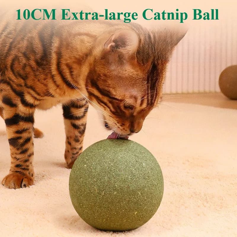 Extra-large 10CM Catnip Balls Galls Fruit Balls Self-amusement and Stress Relief Catnip toy for Grinding Teeth Large Mint Ball