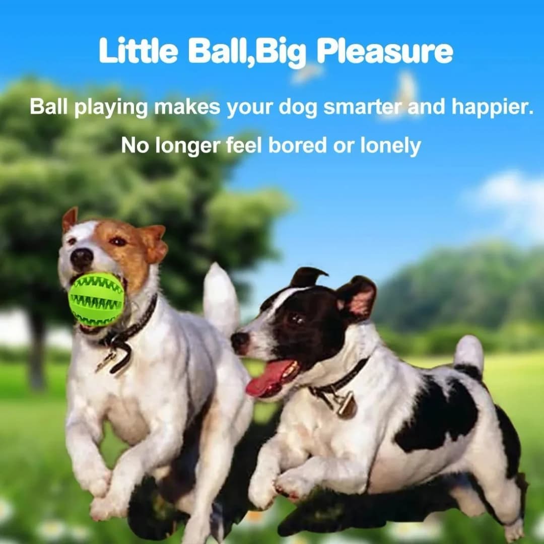 Pet Dog Toys Toy Funny Interactive Elasticity soft Ball Dog Chew Toy For Dog Tooth Clean Ball Food Extra-tough Rubber Ball Dogs - 2