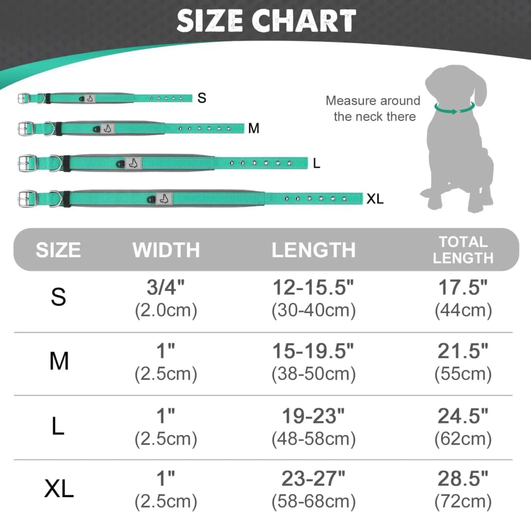 Padded Dog Collars for small Medium large Dogs Reflective Wide Pet Collars Adjustable Heavy Duty Nylon Neoprene Dog Collar - 2