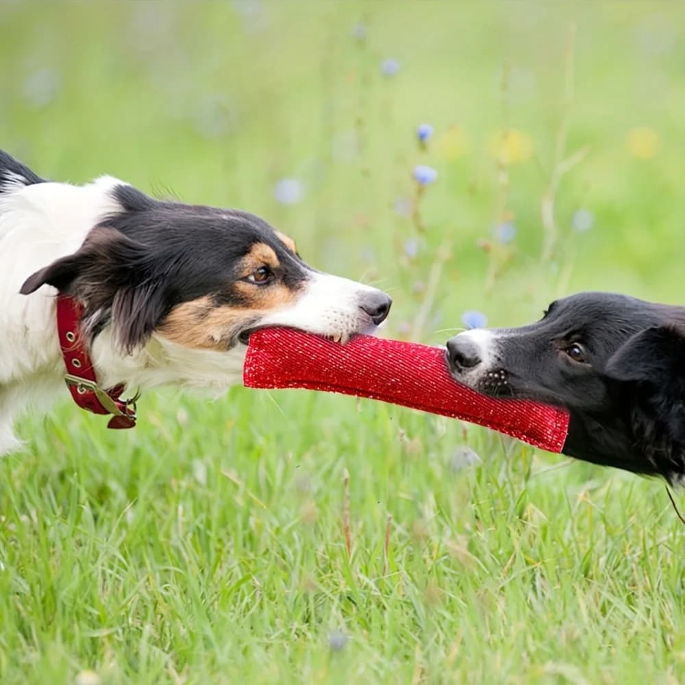Dog Training Bite Stick Double Handle Interactive Toy Teeth Grinding Dog Training Stick Pet Dog Training Jute Sleeve Dog Toys - 2