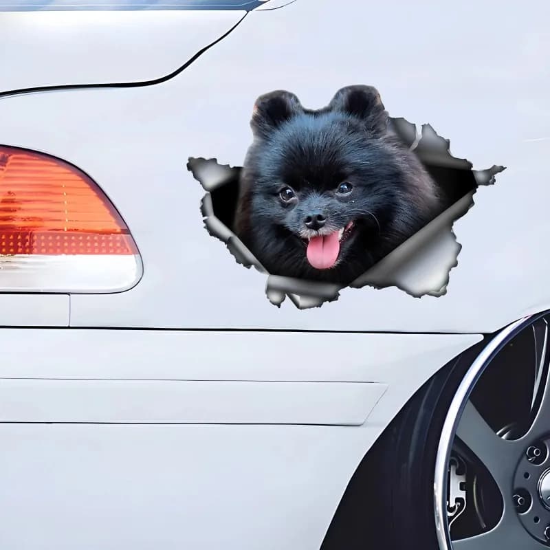 ملصق سيارة ثلاثي الأبعاد لكلب كافاليير كينج أسود وبني، إكسسوارات من مادة الفينيل المقاومة للماء 13 سم PVC KK