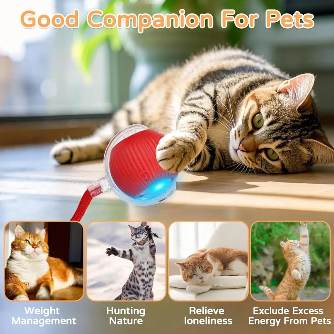 Cat Interactive Ball Toy Automatic Rolling Ball Faux Tail Rechargeable Smart Pet Electric Toy Dog Cat Training Imitate Mouse - 6