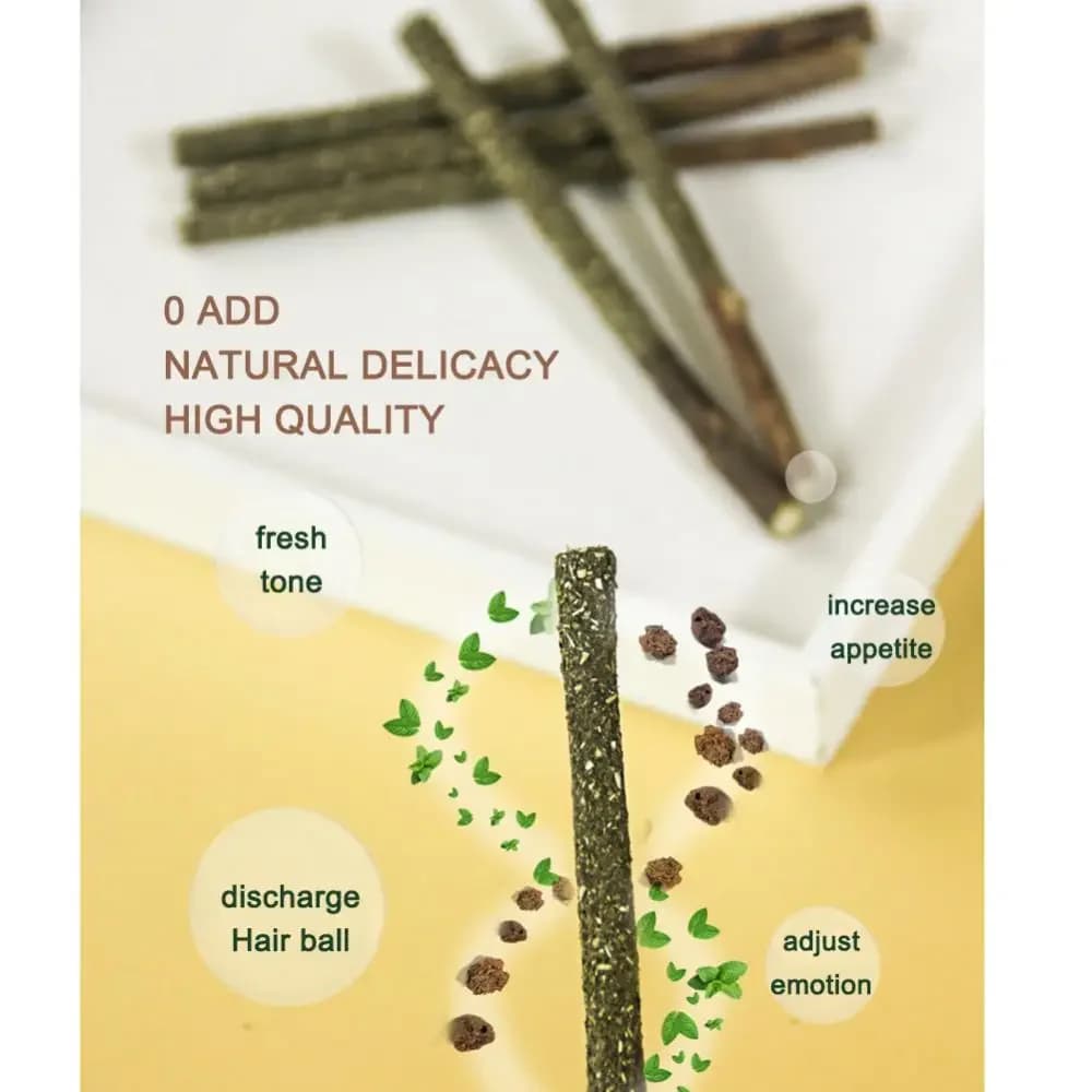 6 قطع عصي قطط طبيعية من ماتاتابي والنعناع، أعواد فضية لتنظيف أسنان القطط ومعالجة اللثة، ألعاب قطط - 4