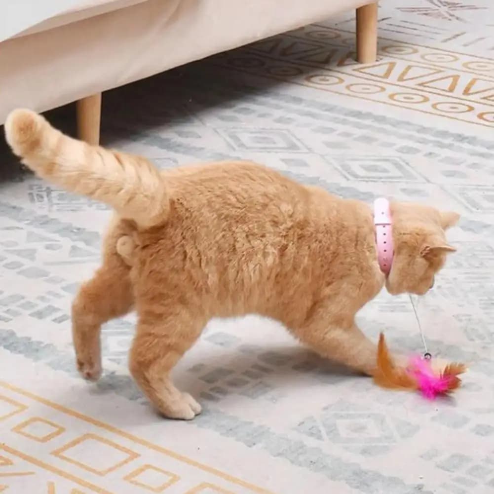 طوق قط تفاعلي لعبة عصا مداعبة بريش ملون وجرس تصميم قابل للتعديل لعبة ذاتية اللعب عصا مداعبة للقطط - 4