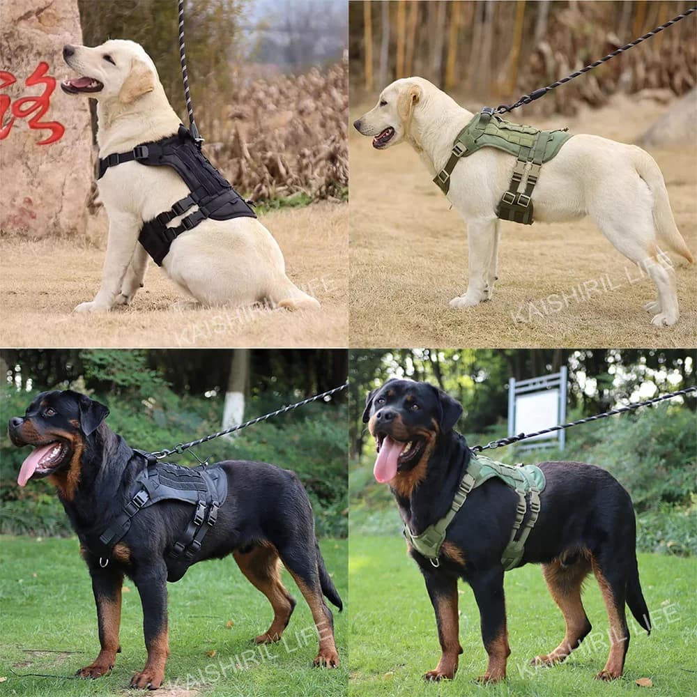 Military Large Dog Harness Pet German Shepherd Training Vest Tactical Dog Harness And Leash Set For Dogs Accessories - 5