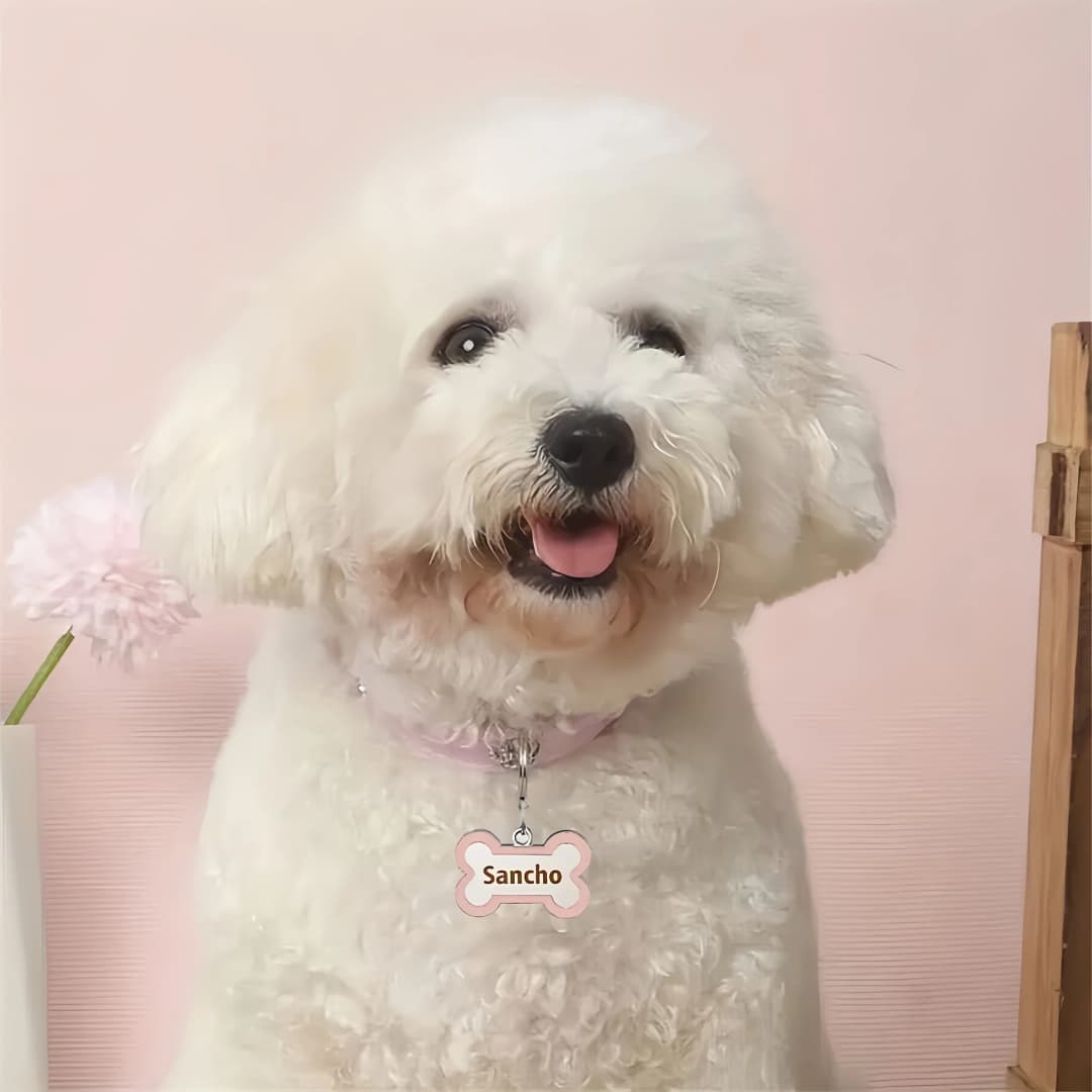 طوق كلاب مخصص من الجلد مع بطاقة على شكل عظم، نقش مزدوج باسم الحيوان الأليف ورقم الهاتف، زخرفة معدنية مقاومة للفقدان - 3