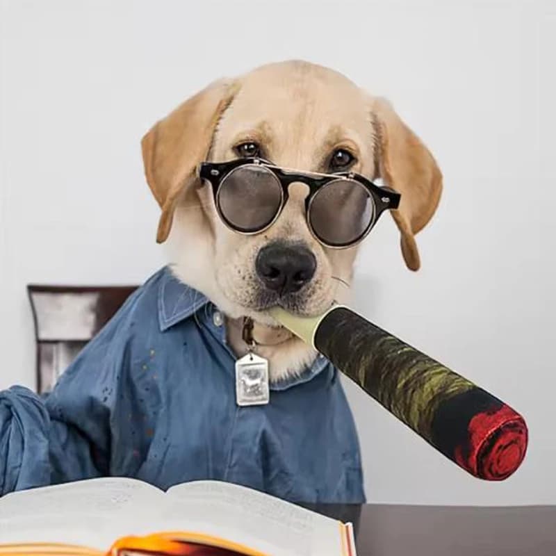 Funny Interactive Dog Toys - Cigar Design Plush Squeaky Pet Toys Grinding Teeth Creative Chew Toy For Small Medium Dog - 6