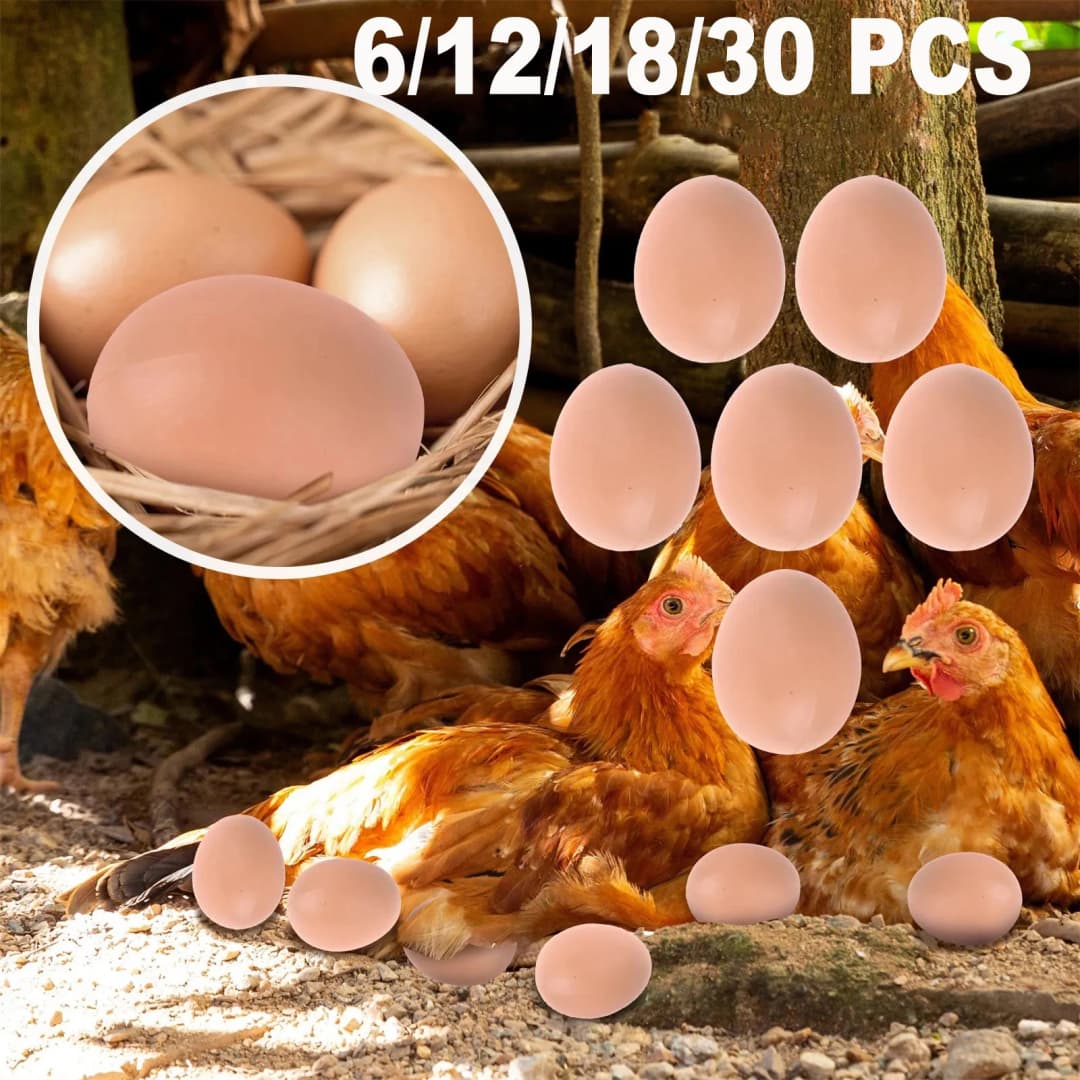 بيض بلاستيكي، بيت للدجاج، بيض مزيف صغير، إمدادات للمزرعة، إكسسوارات للأقفاص، دليل لبناء عش الدجاج