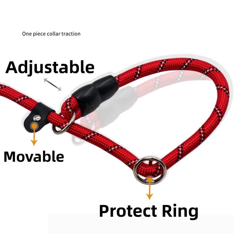طوق الكلاب سلسلة P أطواق قابلة للتعديل للحيوانات الأليفة سلسلة P لتدريب الكلاب على المشي أطواق الكلاب حبال عاكسة للكلاب إكسسوارات الحيوانات الأليفة - 2