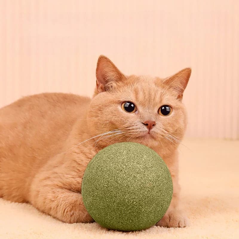 Extra-large 10CM Catnip Balls Galls Fruit Balls Self-amusement and Stress Relief Catnip toy for Grinding Teeth Large Mint Ball - 4