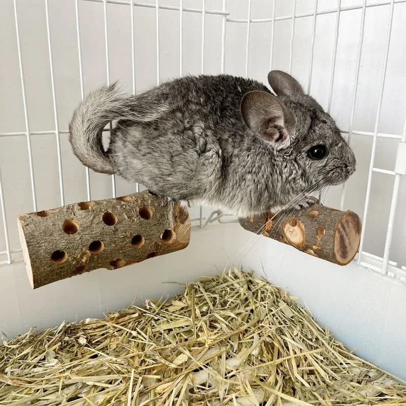 عصا مضغ للحيوانات الصغيرة، من خشب التفاح، مقاومة للعض، للببغاوات والطيور، مع حامل خشبي - 2