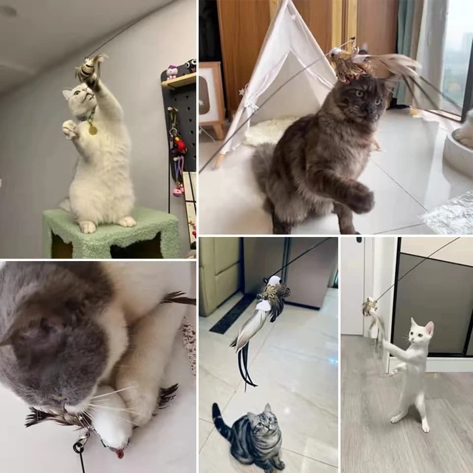 لعبة عصا تفاعلية على شكل طائر محاكاة ريشة ناعمة مع جرس لعبة عصا للقطط إكسسوارات حيوانات أليفة - 5