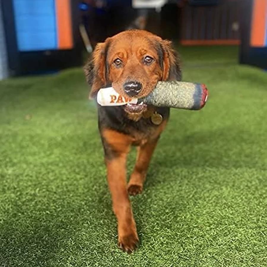 Funny Cigar Plush Squeaky Interactive Dog Toys Design Squeaky Pet Toys Grinding Teeth Creative Chew Toy for Small Medium Dog - 4