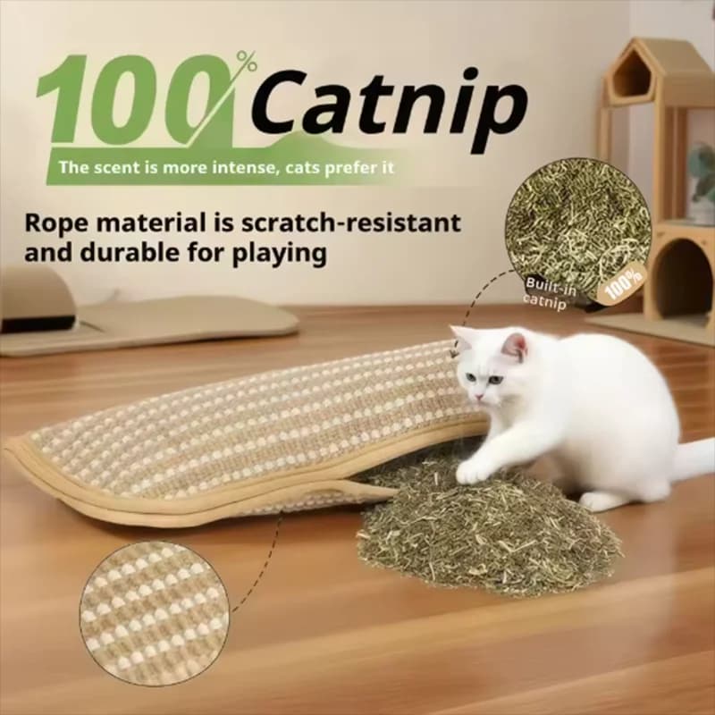 Cat Scratcher Interactive Toys for Cat Catnip Pillow Kitten Claw Grinder Scratching Post for Cats Chew Bite Toys Pet Supplies