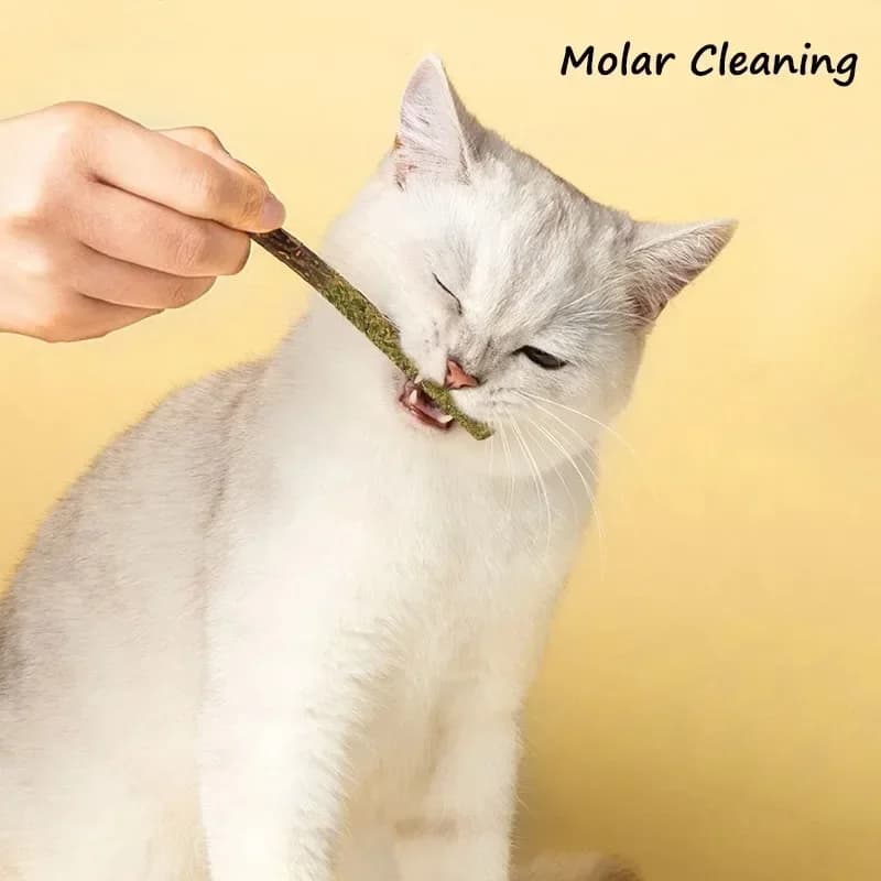 6pcs Natural Matatabi Cat Stick Mint Caught Bite Excited Rods Silvervine For Cat Teeth Cleaning Treating Pet Supply Cat Supplies - 3