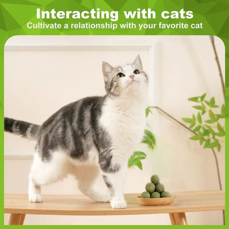5/10/20Pcs Natural Catnip Balls Kitten Cat Nip Ball Licker Toy for Cats of All Breeds,Lick Ball Toys That Fascinate Pet Cats - 6