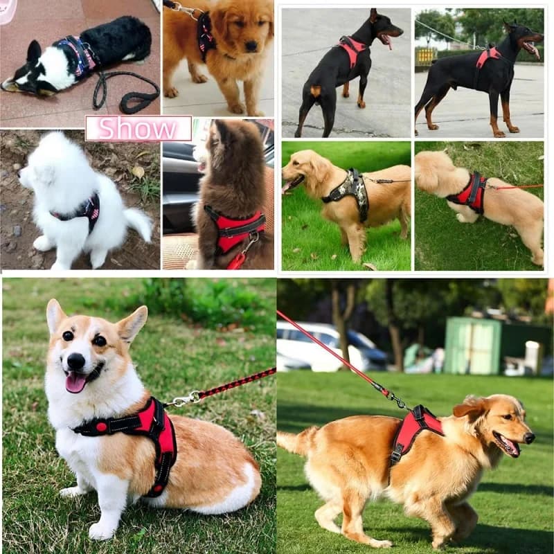 Small Medium Large Dog Harness Strong Harness Vest for Dogs Pet Shop Everything for Dogs Golden Retriever Chihuahua Accessories - 2