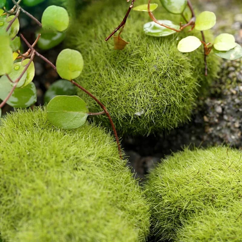 4 Size Green Fake Stone Artificial Moss Rocks Home Decor Simulation Plant DIY Decoration for Garden and Crafting листья розы - 4