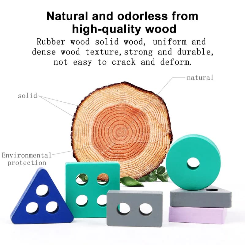 Montessori Toy Wooden Building Blocks Early Learning Educational Toys Color Shape Match Kids Puzzle Toys for Children Boys Girls - 5