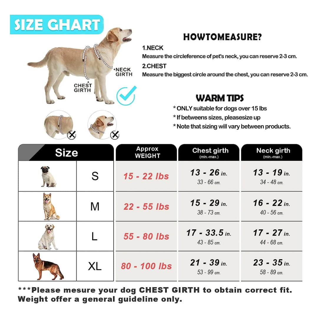 Dog Harness and Leash Combo, Escape Proof No Pull Vest Harness, with 5 Feet Leash, Reflective Adjustable Soft Padded Pet Harness - 3