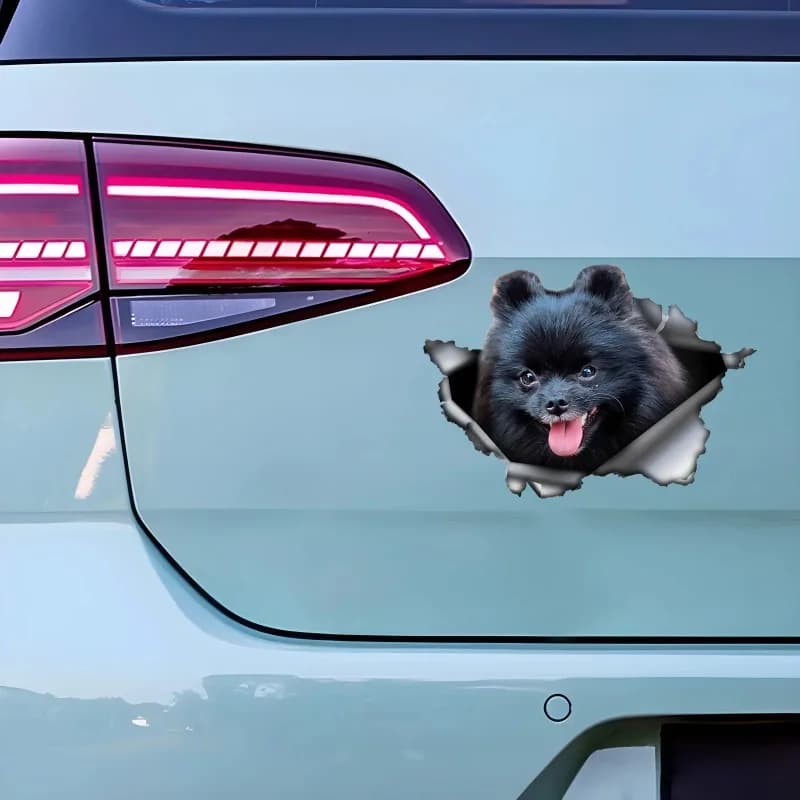 ملصق سيارة ثلاثي الأبعاد لكلب كافاليير كينج أسود وبني، إكسسوارات من مادة الفينيل المقاومة للماء 13 سم PVC KK - 2