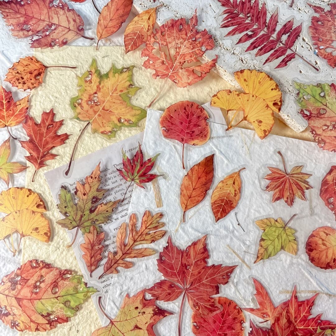 40 ملصق ورقي لموضوع الخريف والفطر، لصنع المجلات وألبومات الصور، لوازم قرطاسية جمالية
