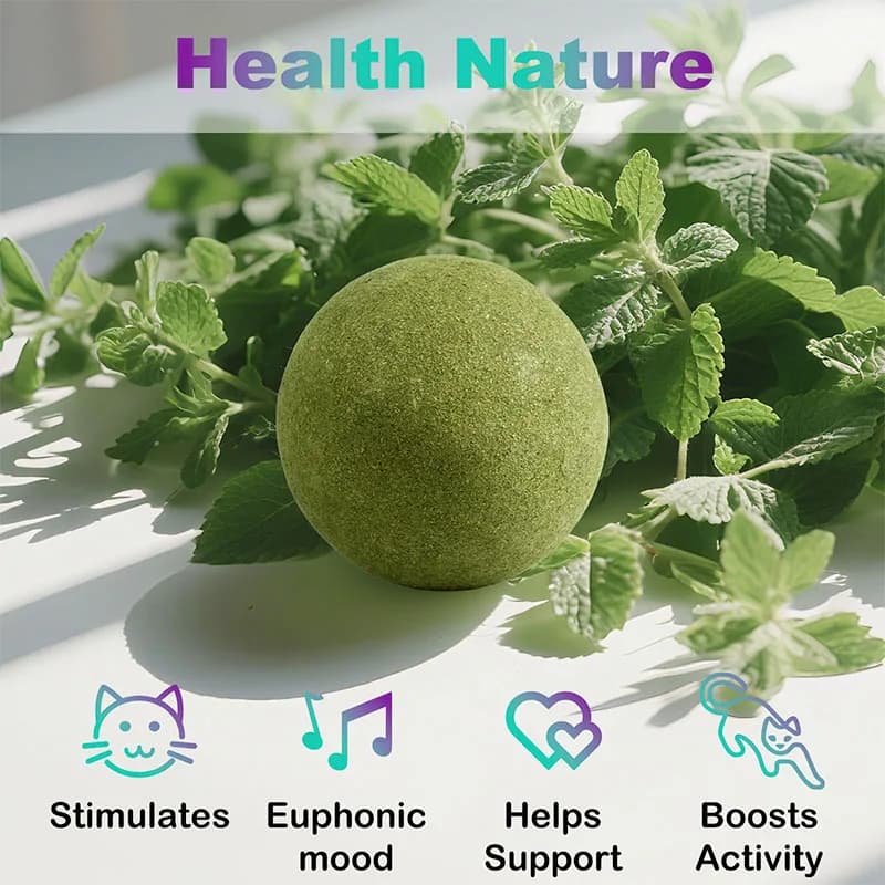 كرة نعناع بري كبيرة (10 سم) للقطط والهريرة، لعب ذاتي، تخفيف التوتر، داخلي وخارجي - 5