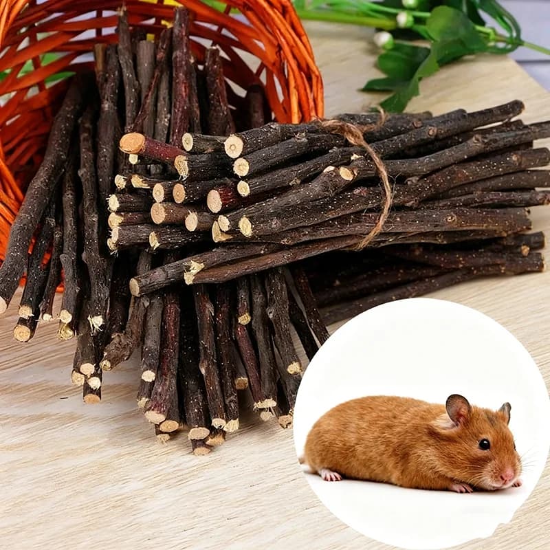 عصي مضغ من خشب التفاح الطبيعي، لتنظيف الأسنان، للحيوانات الصغيرة مثل الأرانب والهامستر - 2