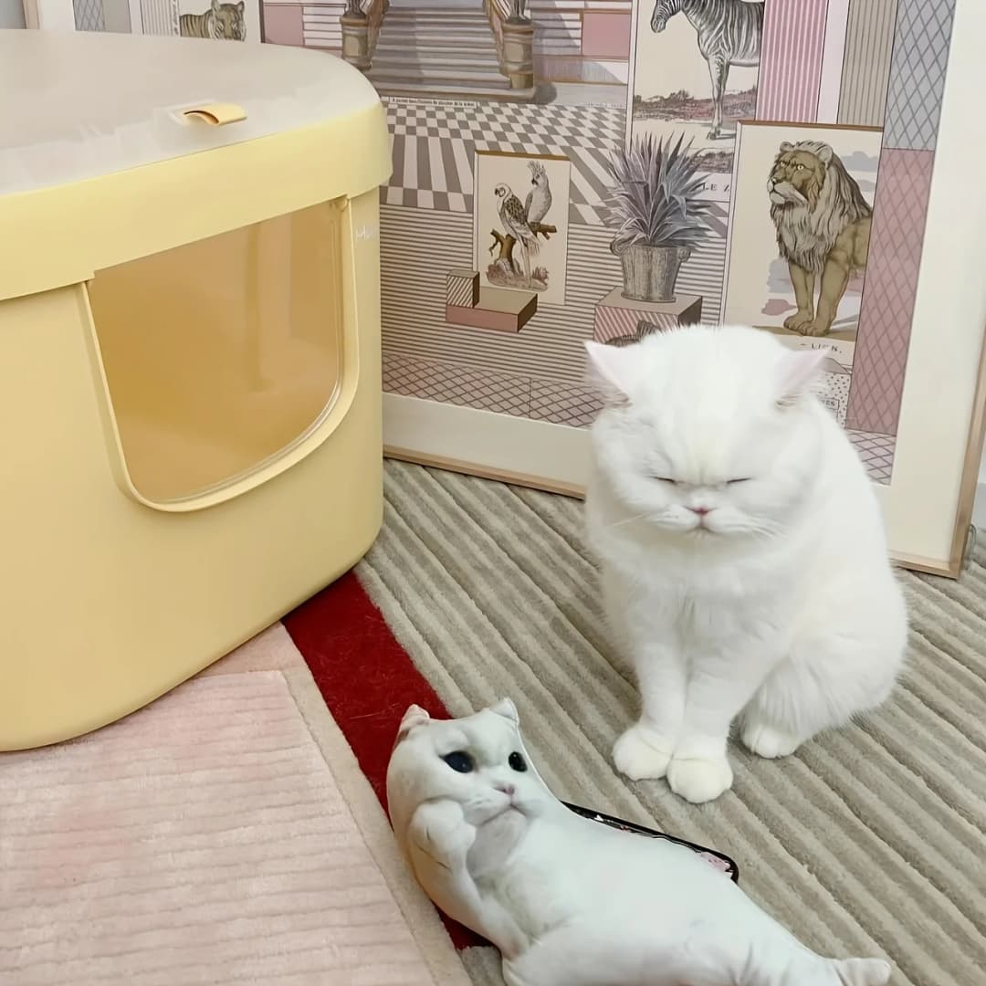 صور مخصصة للحيوانات الأليفة، وسائد ناعمة، وسائد أريكة على شكل قطط وكلاب شخصية للأعمار 14 سنة فما فوق - 4