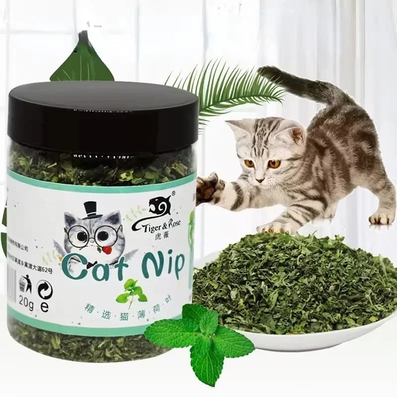 5-40g Organic 100% Cat Nip Natural Catnip Toy Cattle Grass Mint Taste Funny Cat Toy New Cat Interactive Cat Toys Pet Supplies - 2
