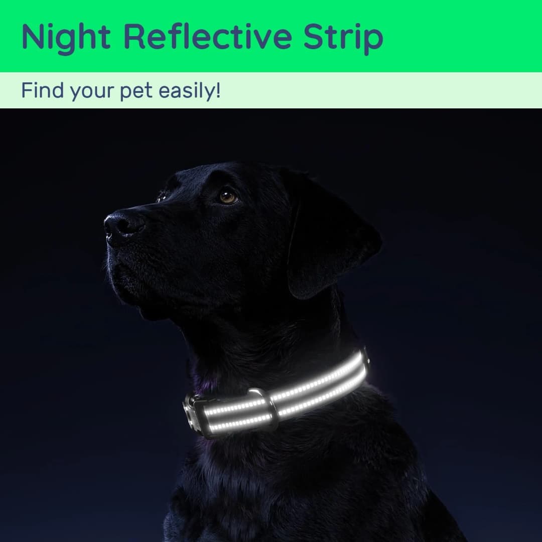 Waterproof Air Tag Dog Collar with AirTag Holder, Reflective Soft Padded & Safety Buckle, AirTag Pet Collar Adjustable for Dogs - 4