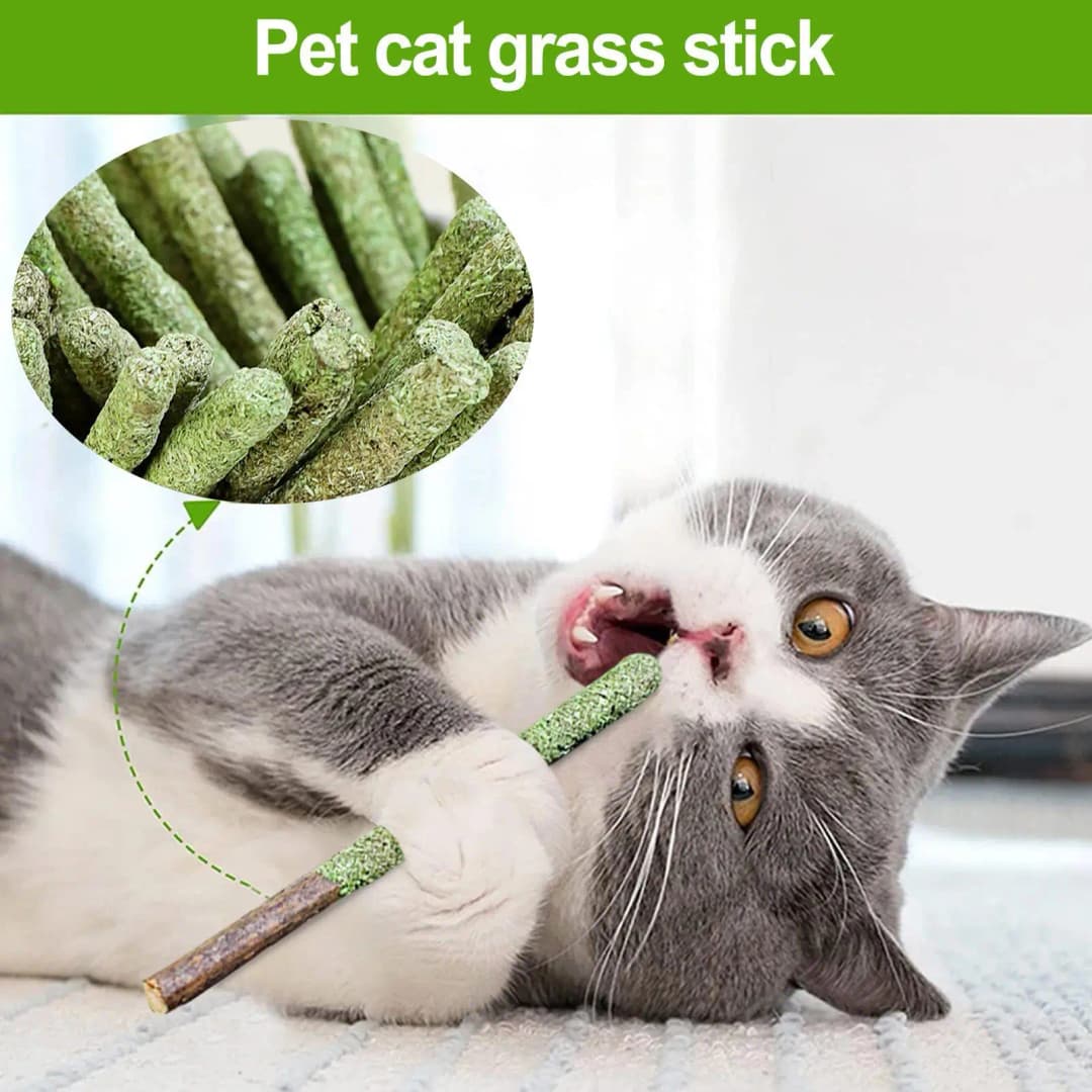 Natural Cat Stick Cat Teeth Cleaning Mint Caught Bite Hairball Removal Cat Chew Stick Catnip Toys Sticks Indoor Kitten