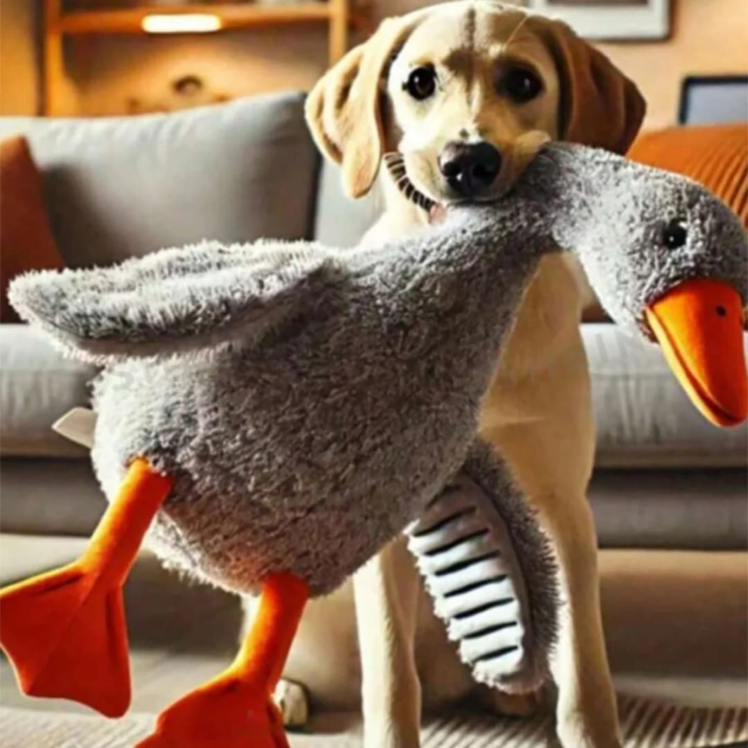 A Set of Soft Duck Plush Toys in White/Grey/Brown, Suitable for Cats and Dogs to Play With, Helping Them Play and Expend Energy, Suitable for Small to Medium-Sized Pets (Large Pets May Bite, so They Are Not Recommended for Large Pets).