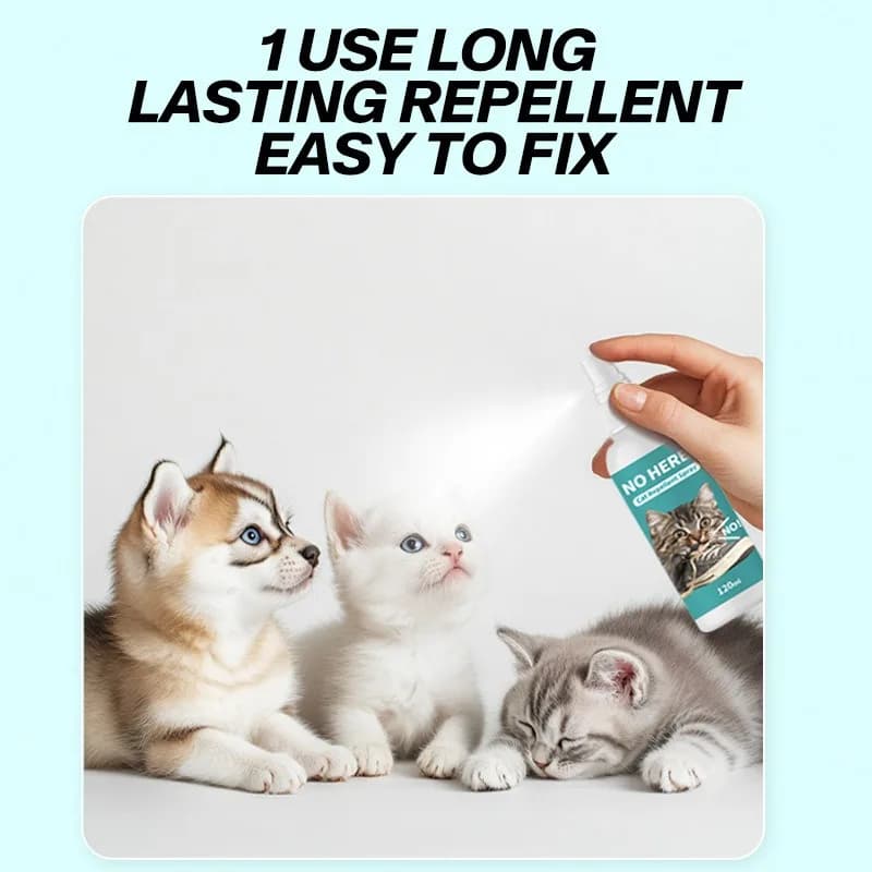 Long Lasting Cat Repellent Spray 120ml Non-Toxic Formula for Furniture Carpets Prevent Urine Marking Indoor Odor Neutralizer - 3