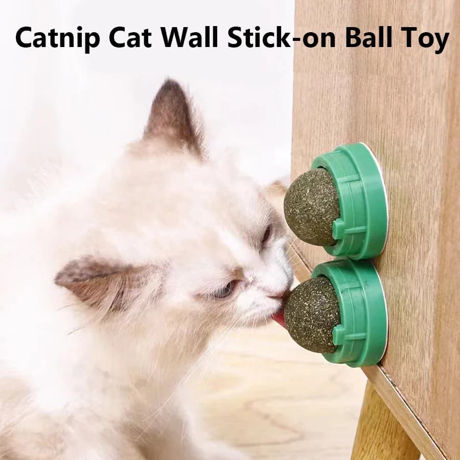 Spinning Catnip Mint Ball for Cats, Interactive Dental Care Chew Toy with Natural Catnip, Hairball Control Kitten Cat Toys - 2