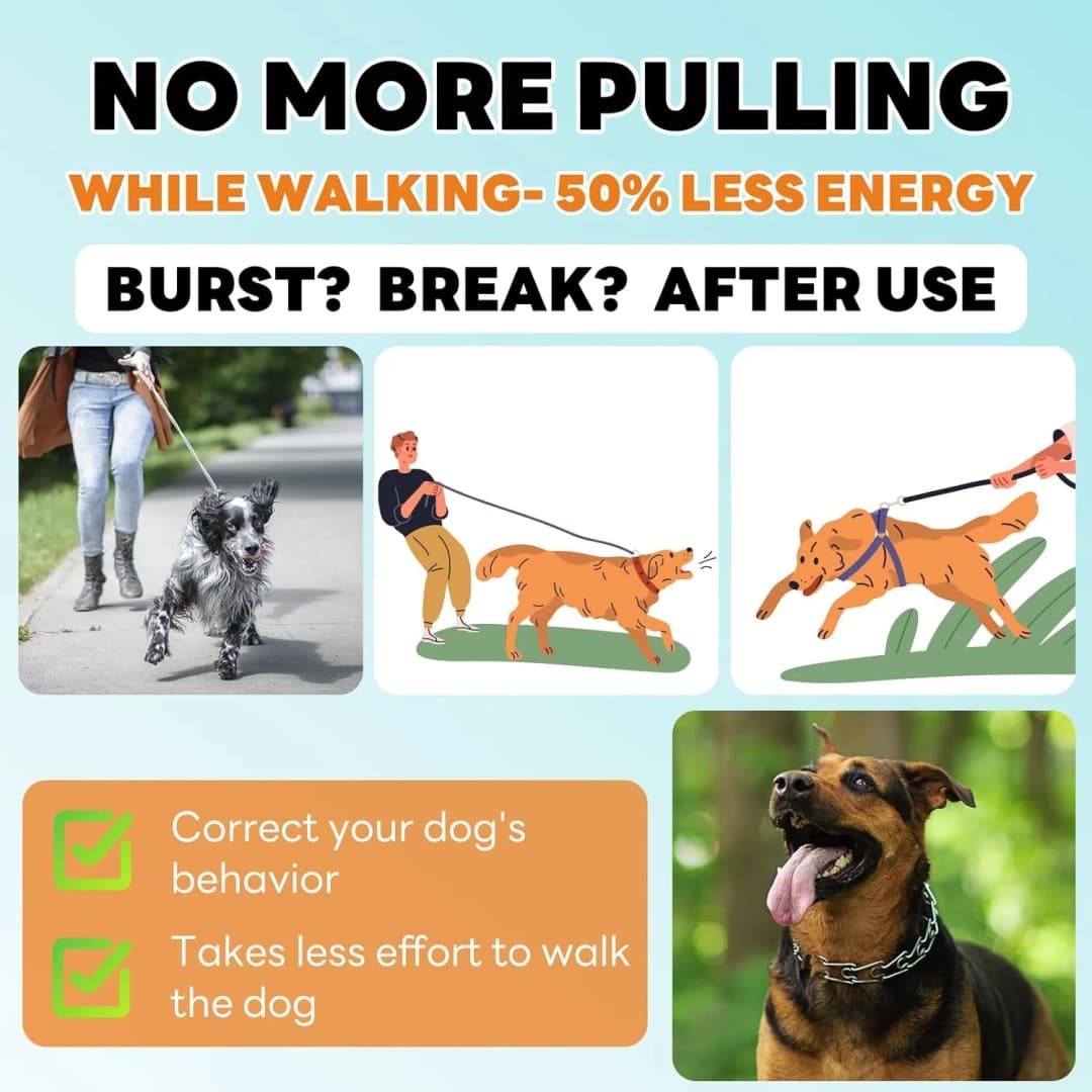 Dog Prong Collar Adjustable Dog Training Pinch Collar with Quick Release Buckle for Small Medium Large Dogs train Explosion - 6